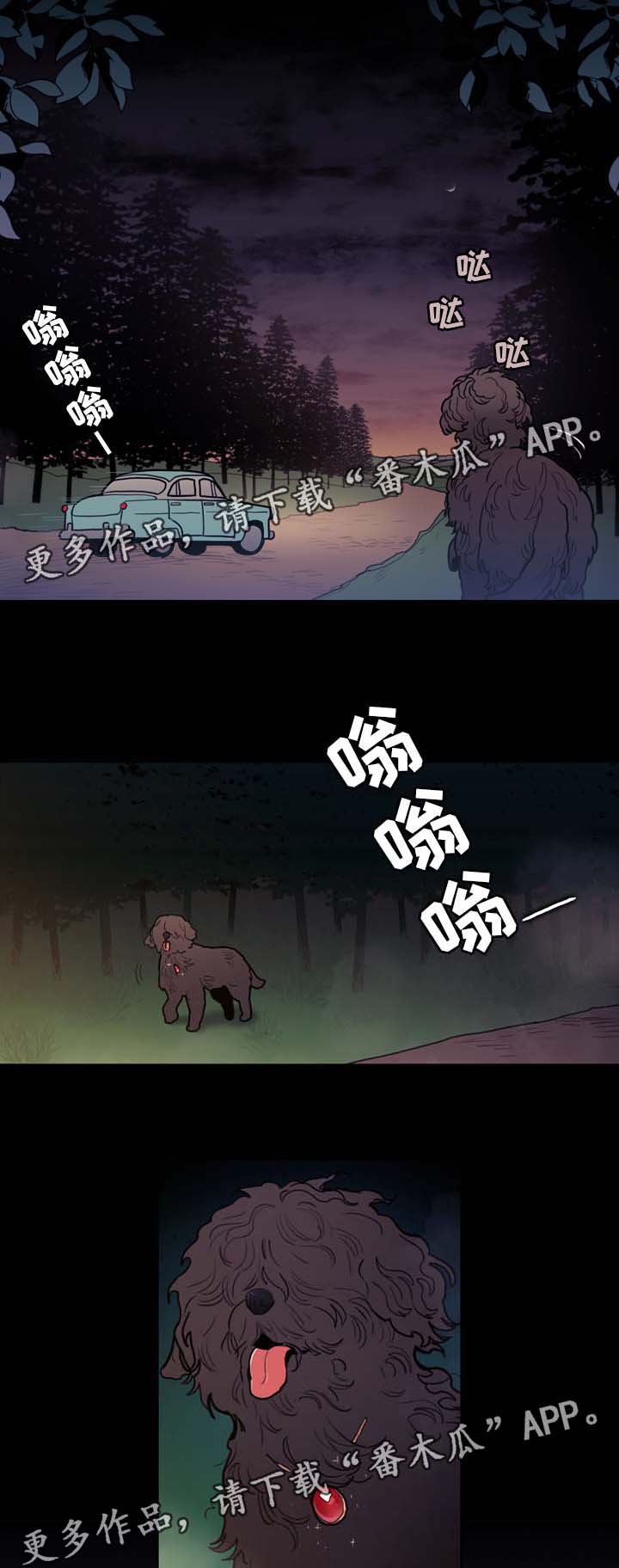12.jpg