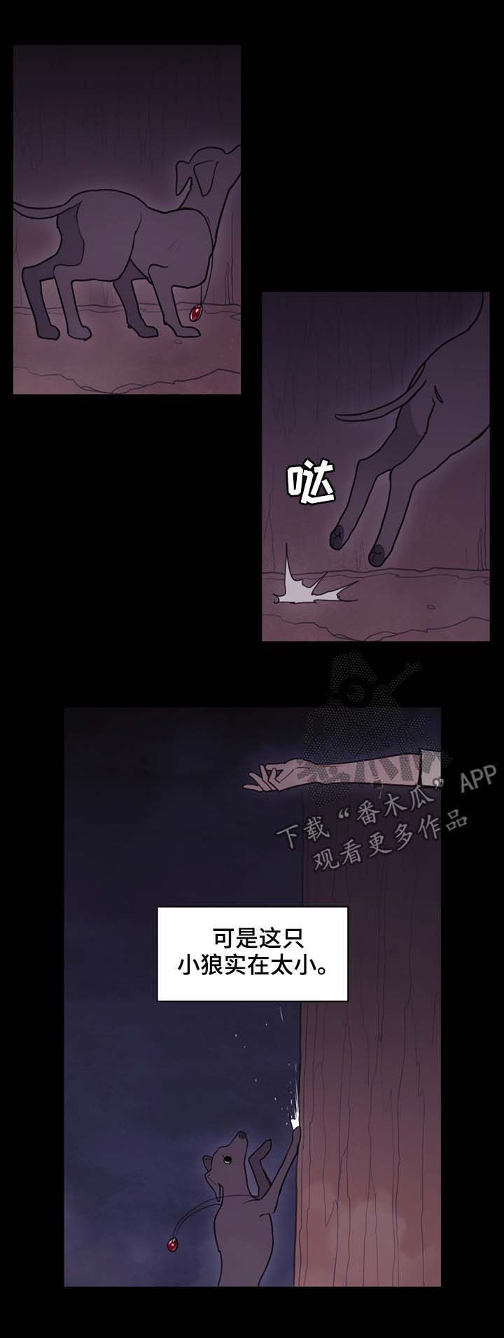 10.jpg