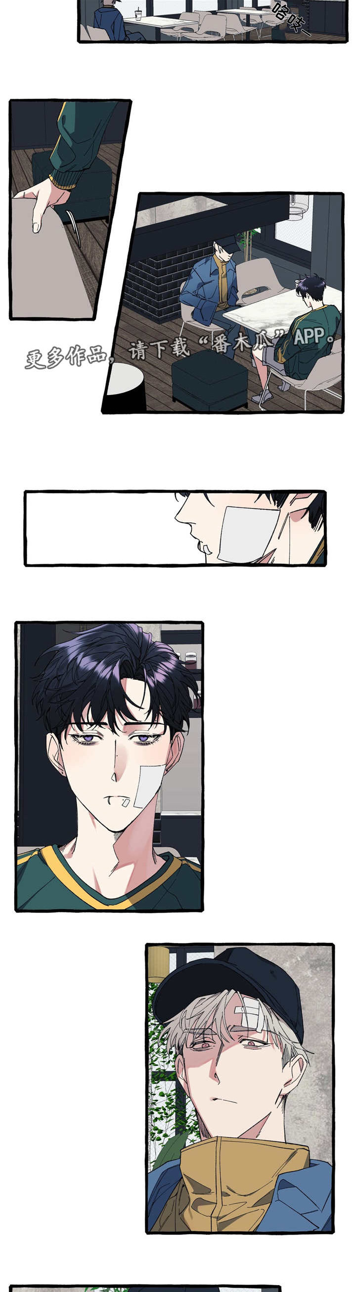 4.jpg