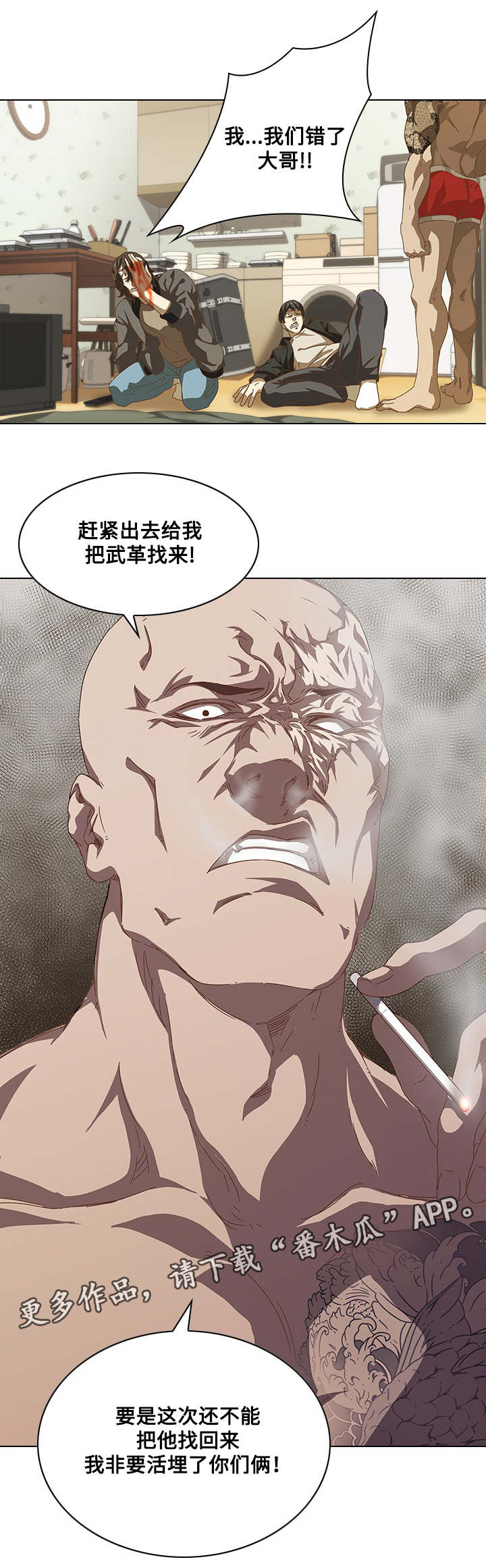 5.jpg