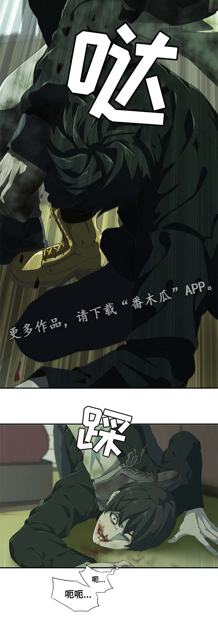 12.jpg