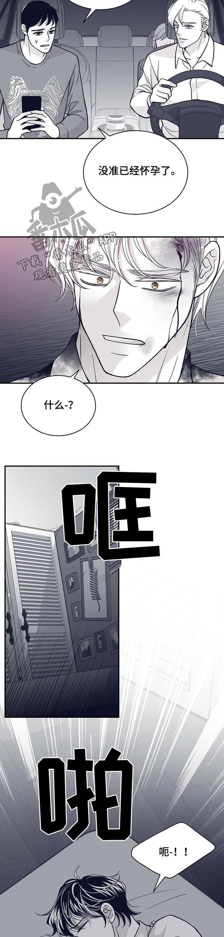 8.jpg