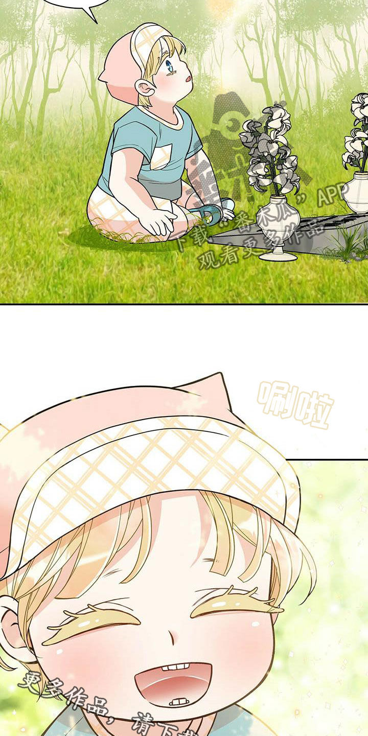 25.jpg