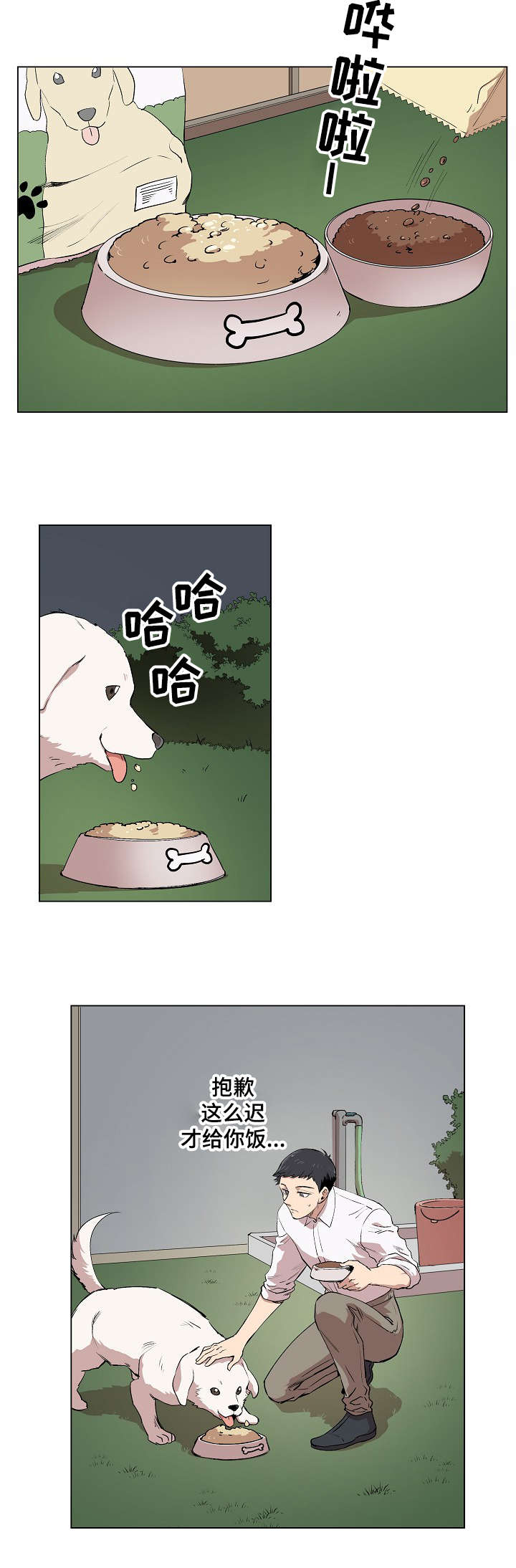 18.jpg