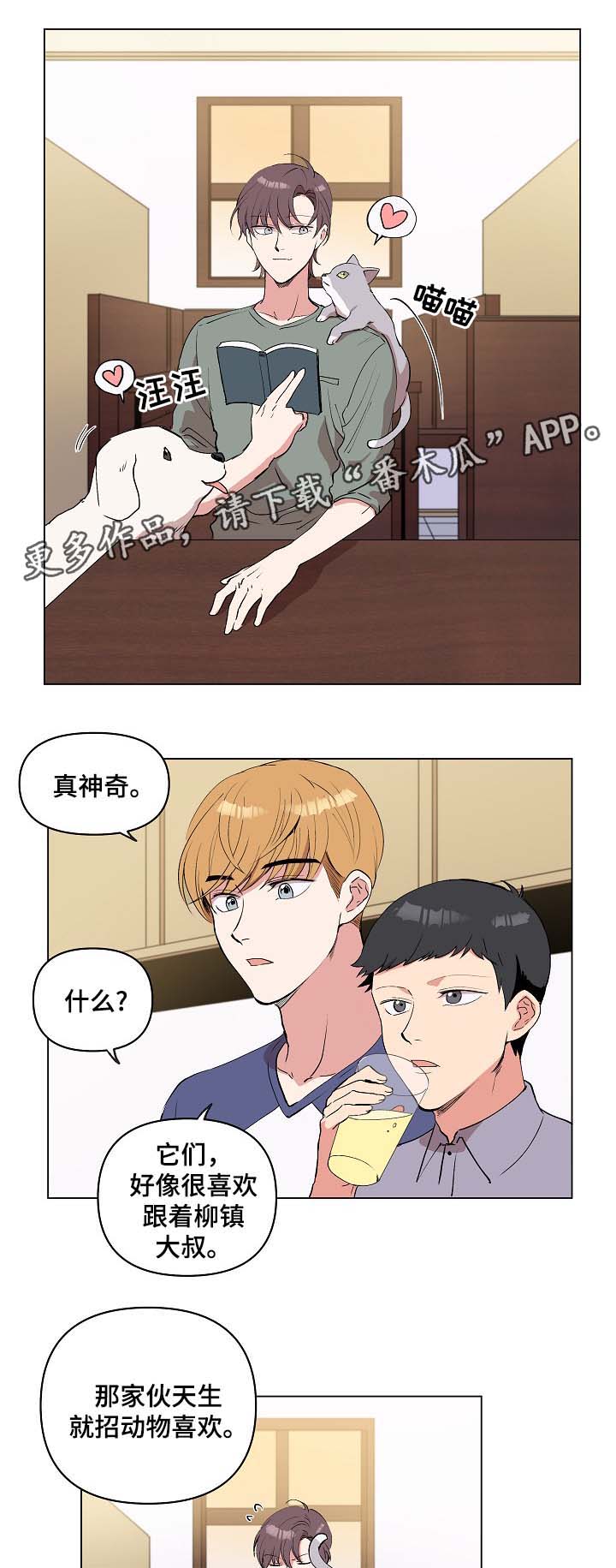 2.jpg