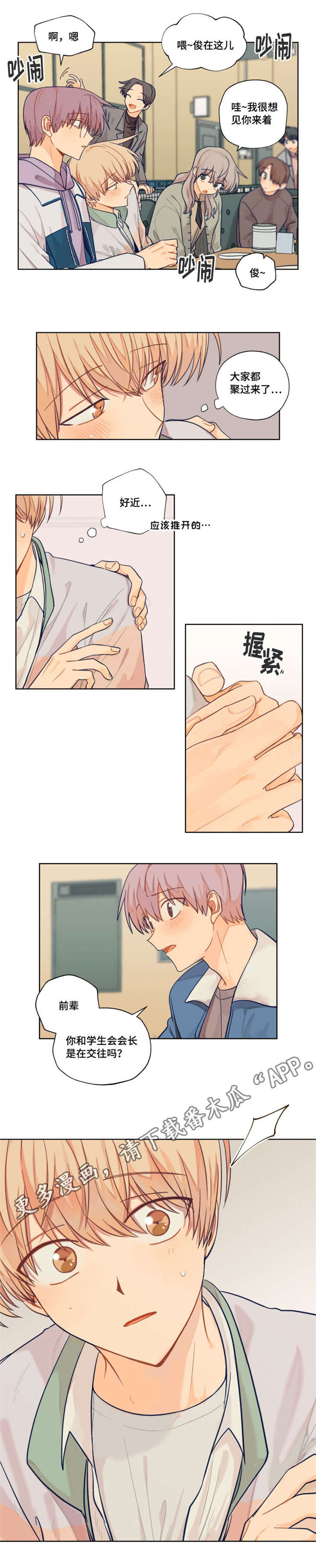 5.jpg