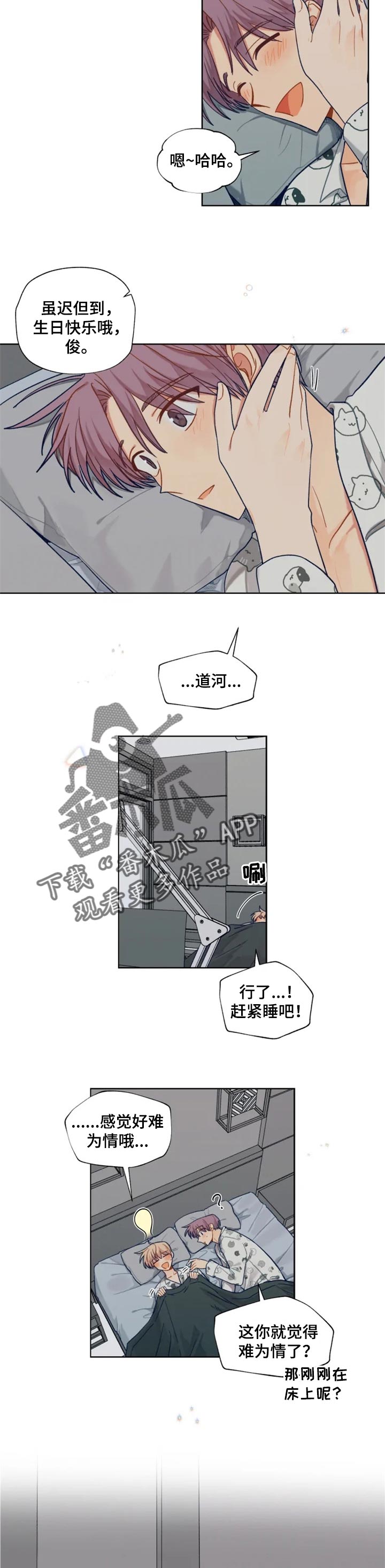 5.jpg