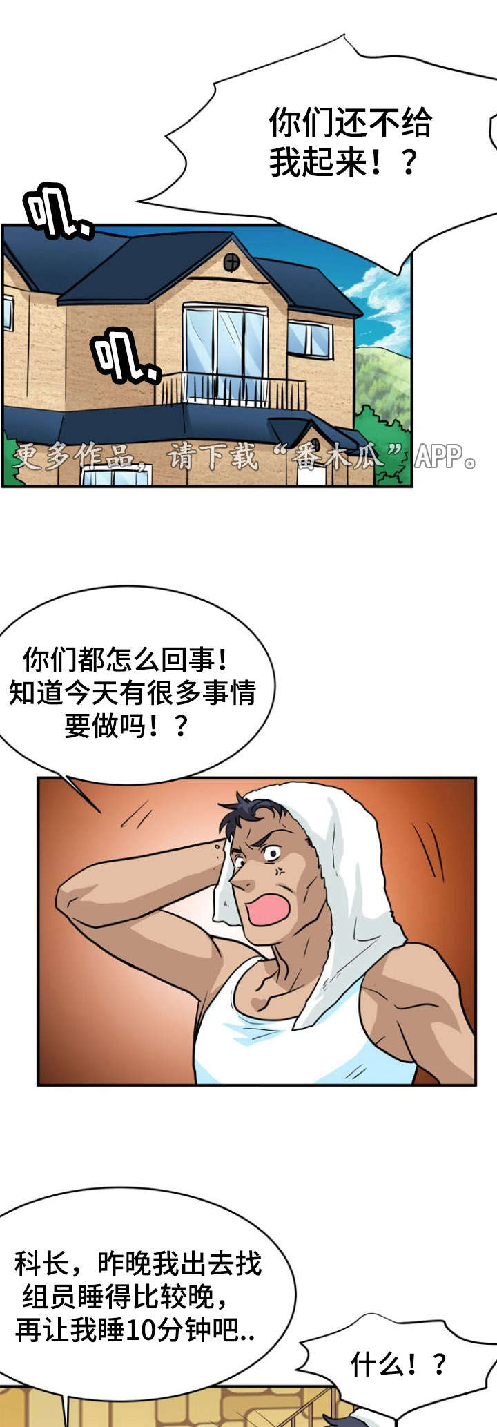 5.jpg