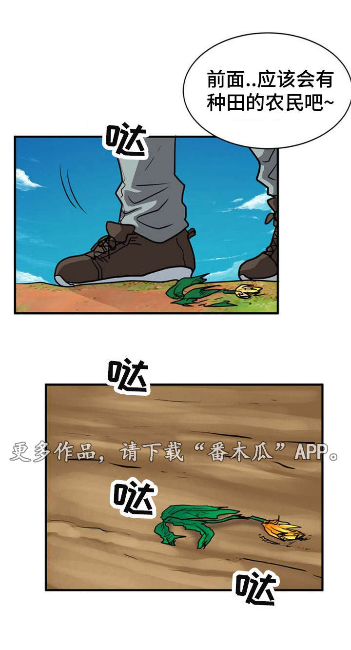 13.jpg
