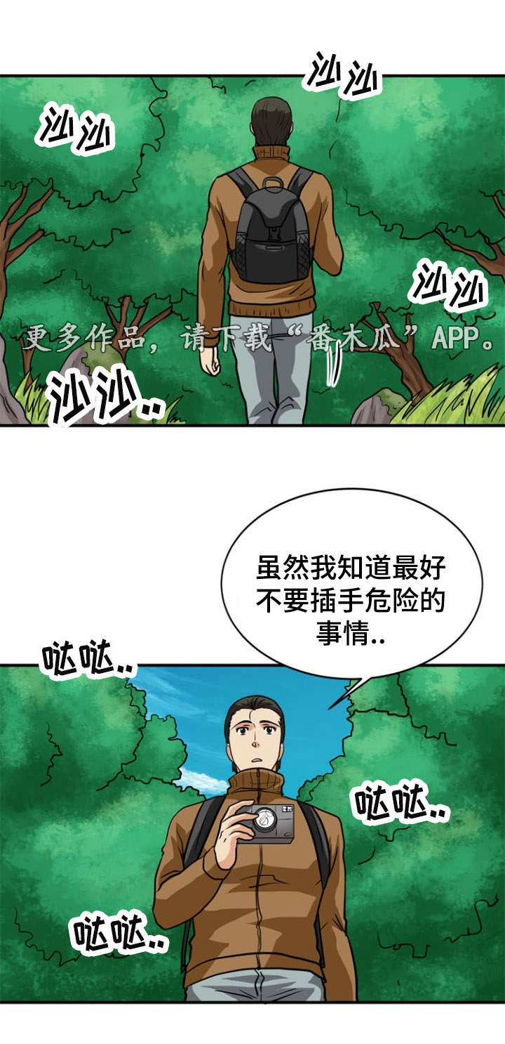 12.jpg