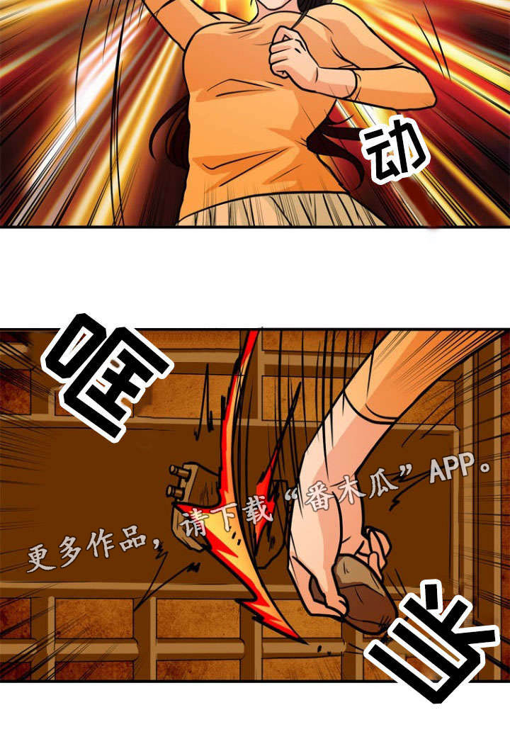 17.jpg