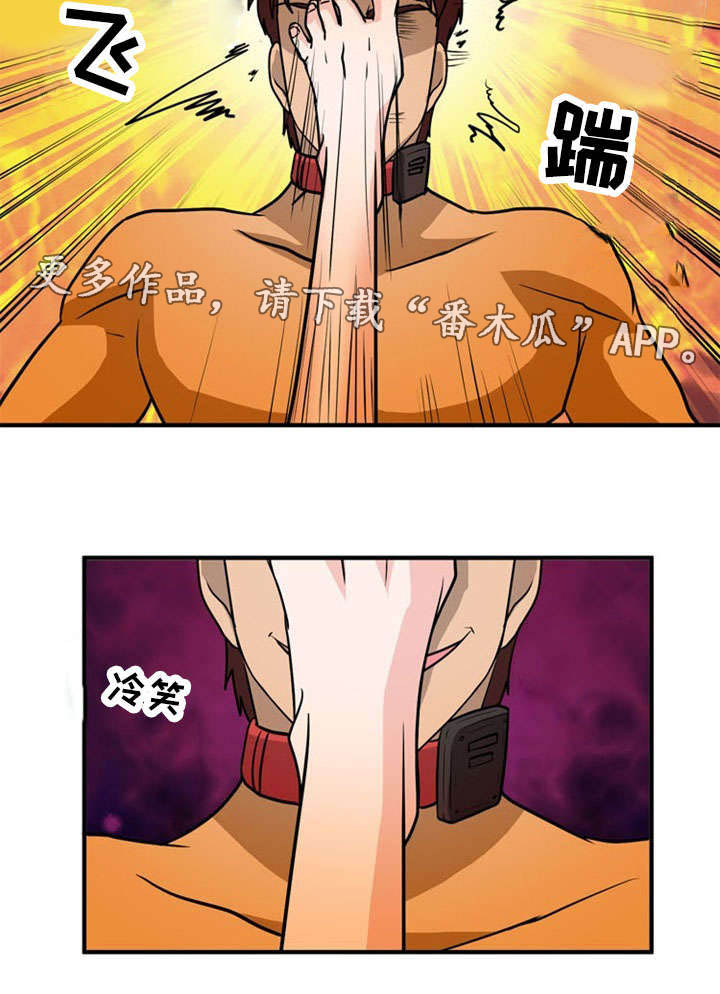 11.jpg
