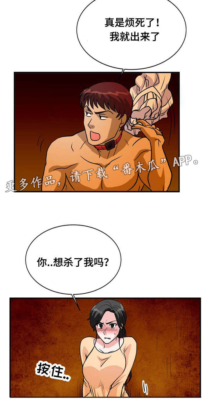 14.jpg