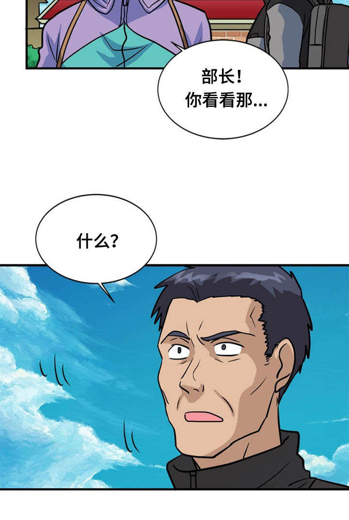 15.jpg