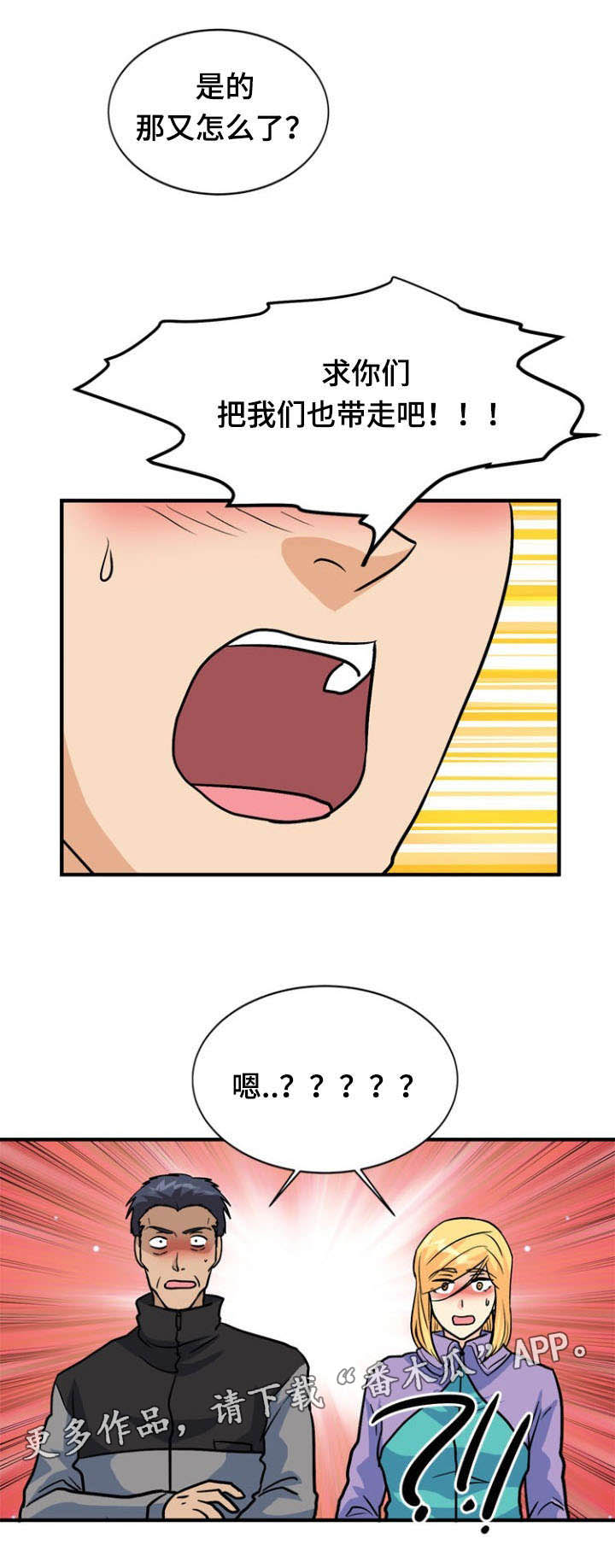 15.jpg