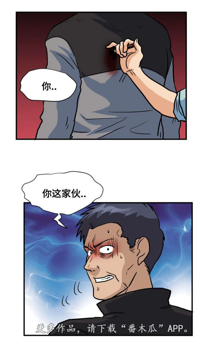 17.jpg
