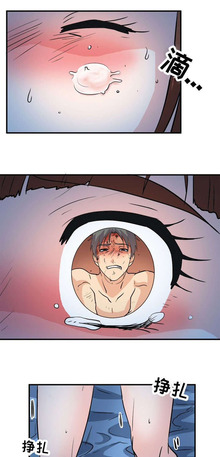 11.jpg