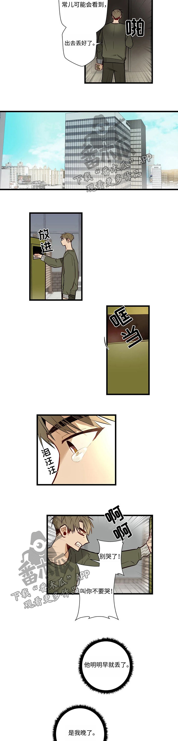 4.jpg