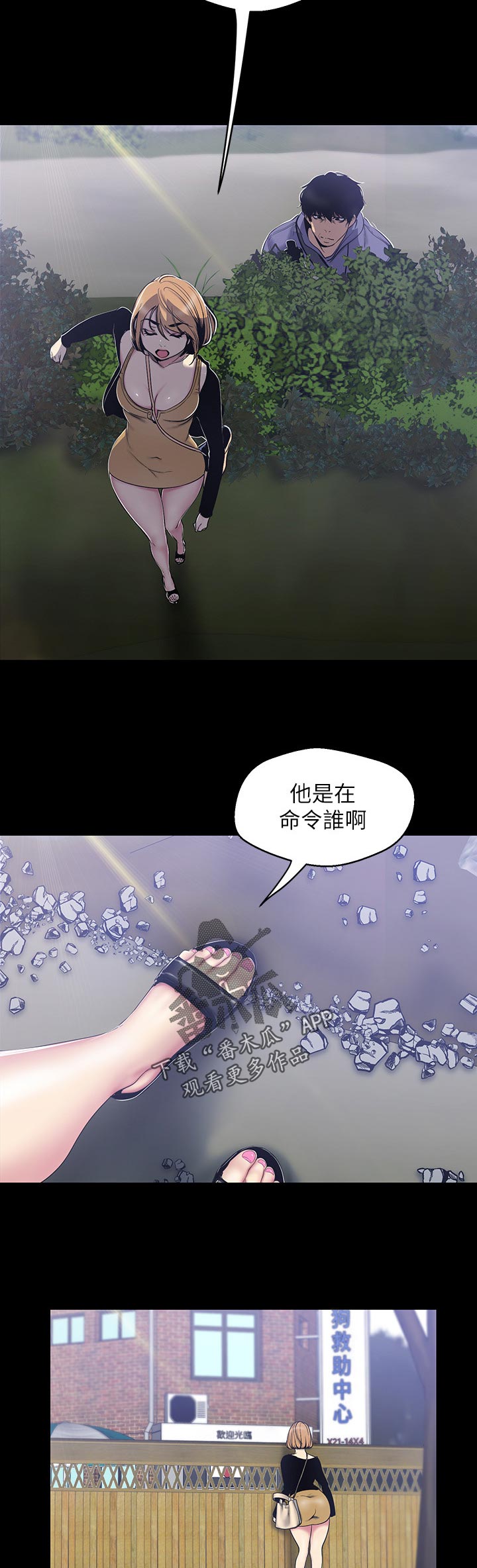 12.jpg