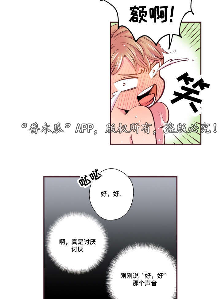 21.jpg