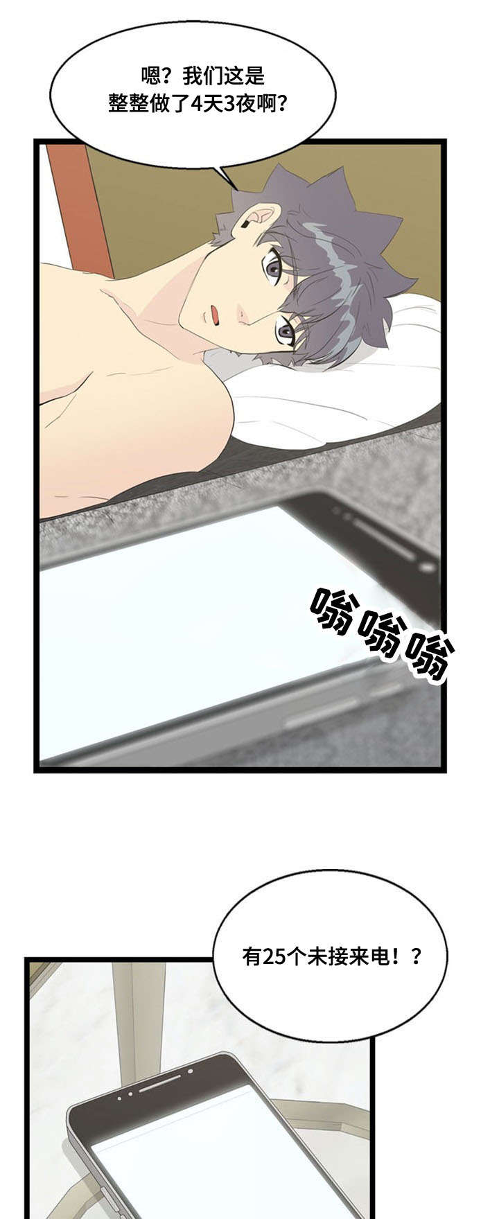 15.jpg