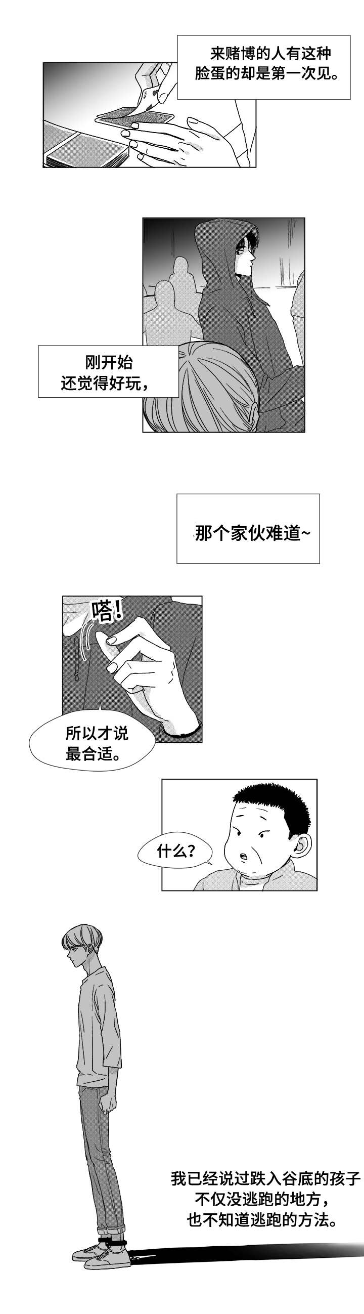 2.jpg