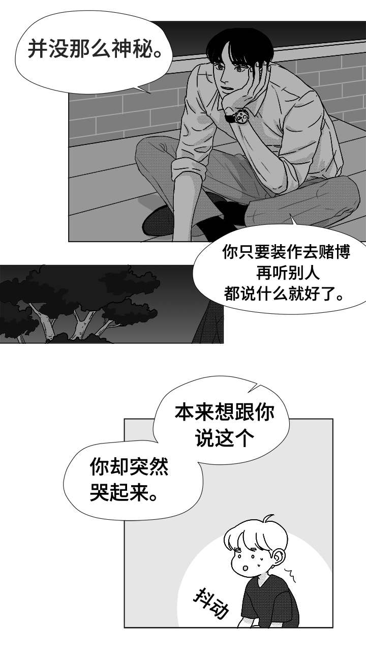 11.jpg