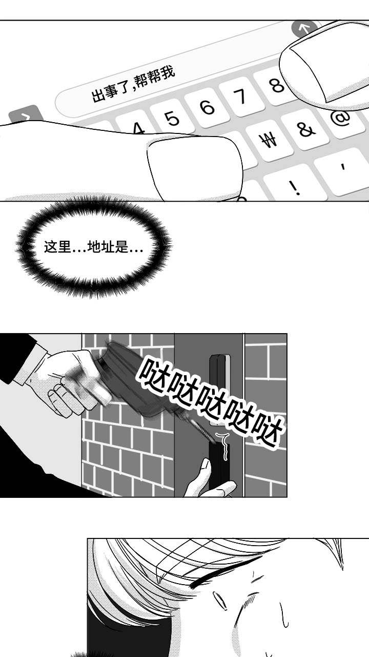 21.jpg