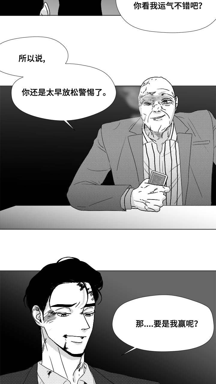 28.jpg