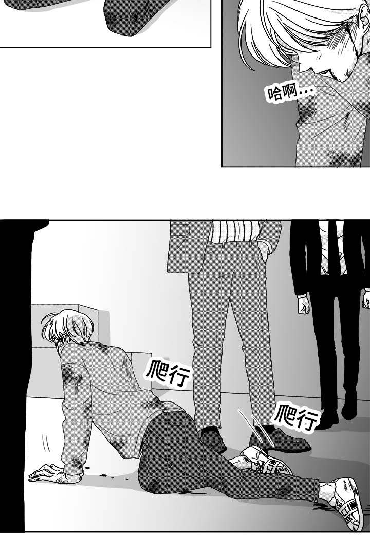 20.jpg