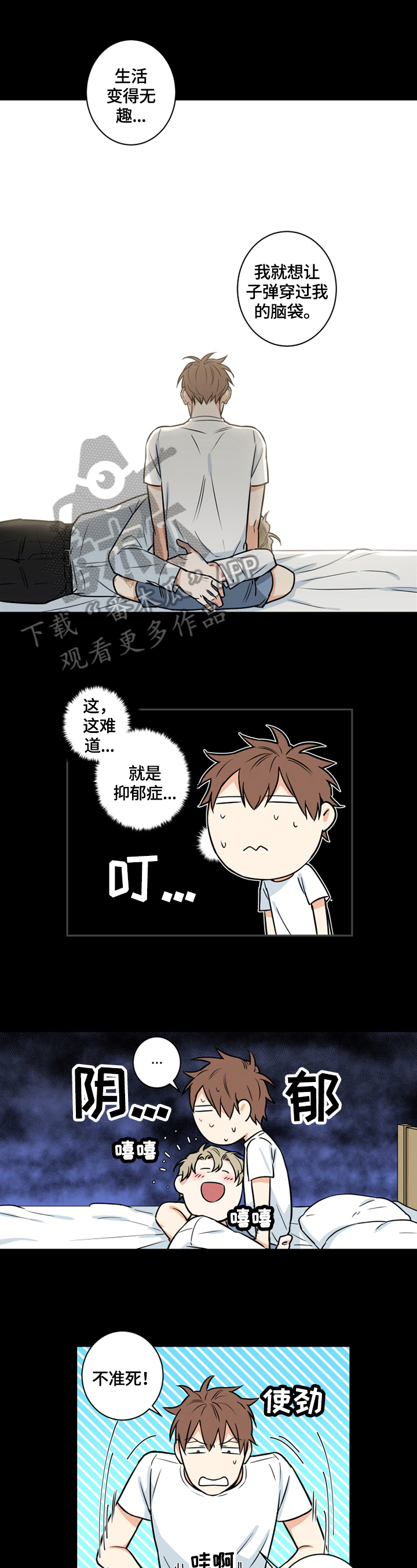 5.jpg