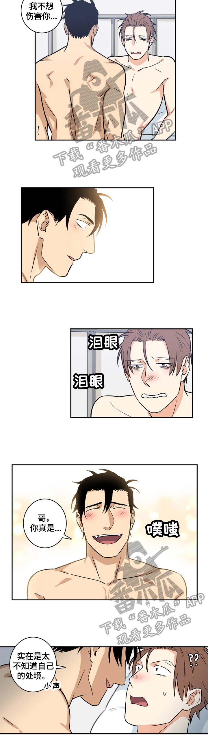 2.jpg