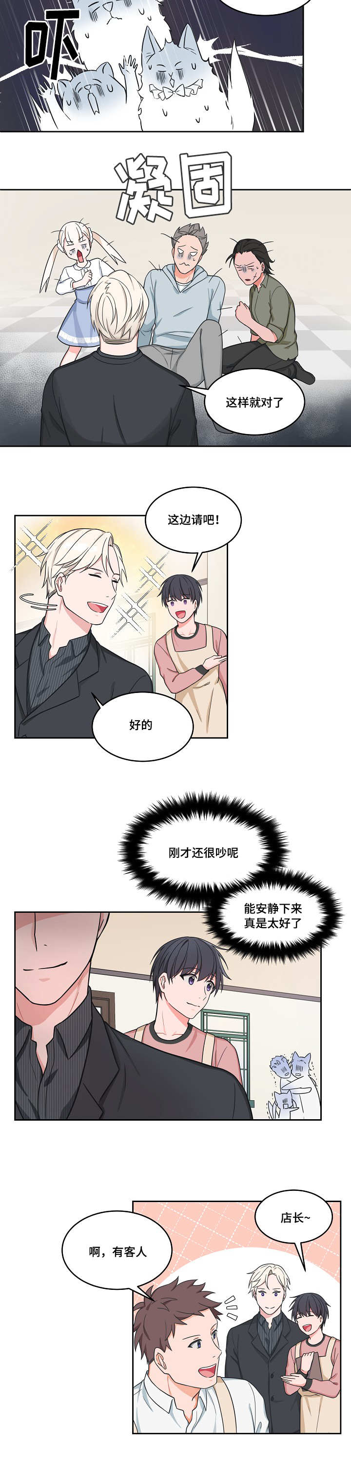 14.jpg