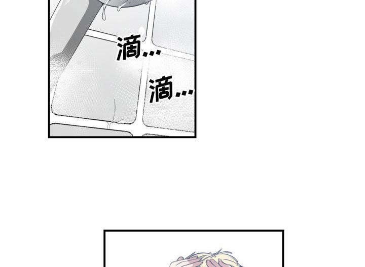 48.jpg