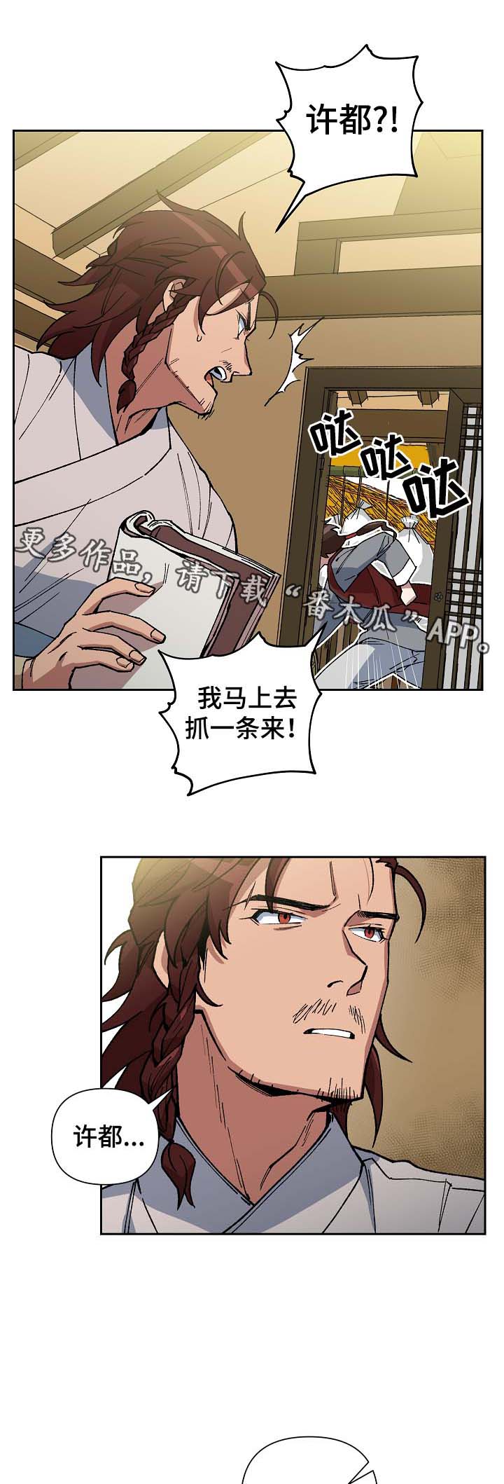 6.jpg