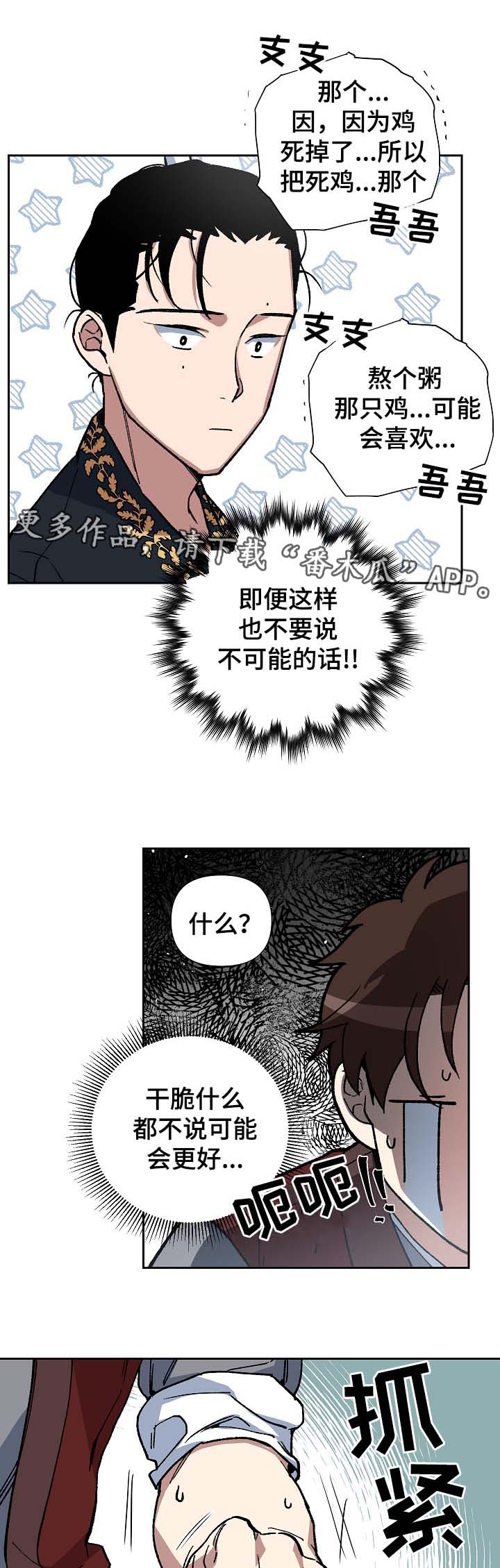11.jpg
