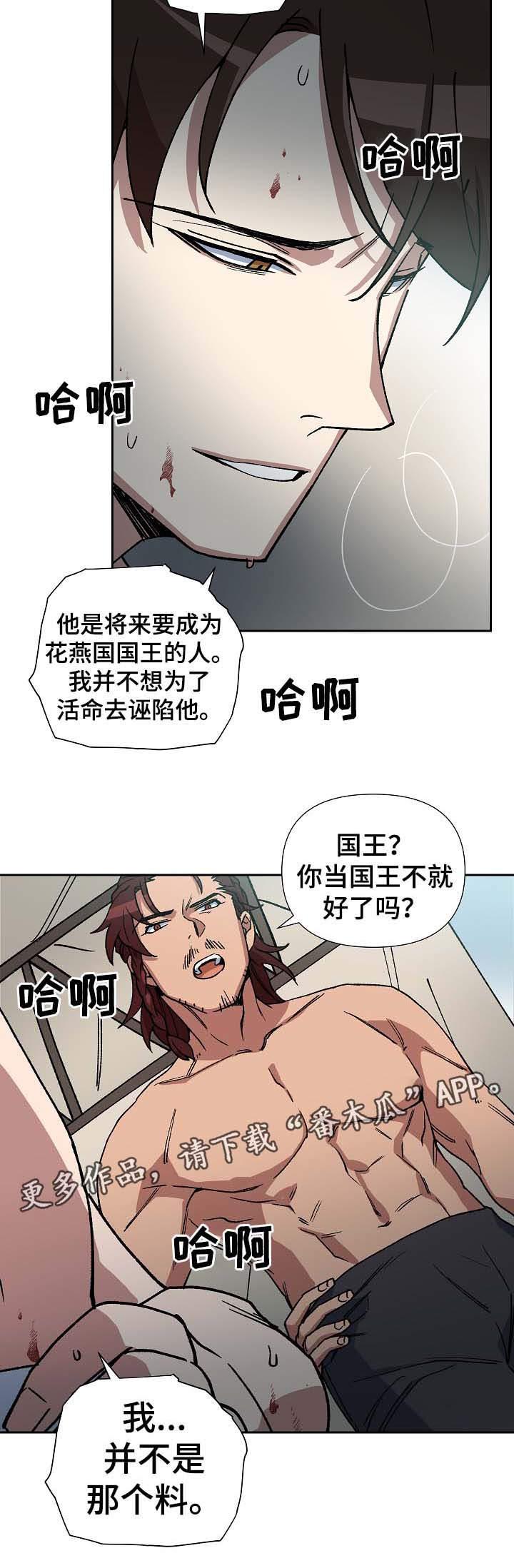 13.jpg