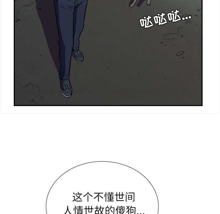 50.jpg