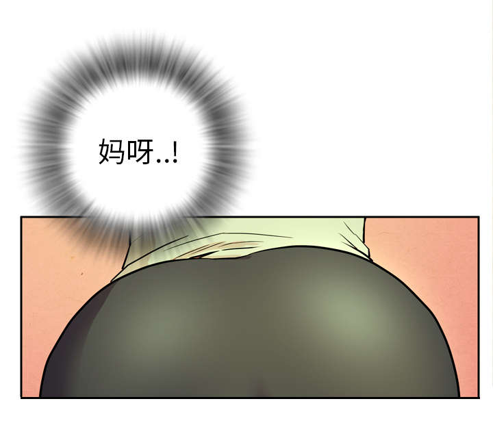 46.jpg