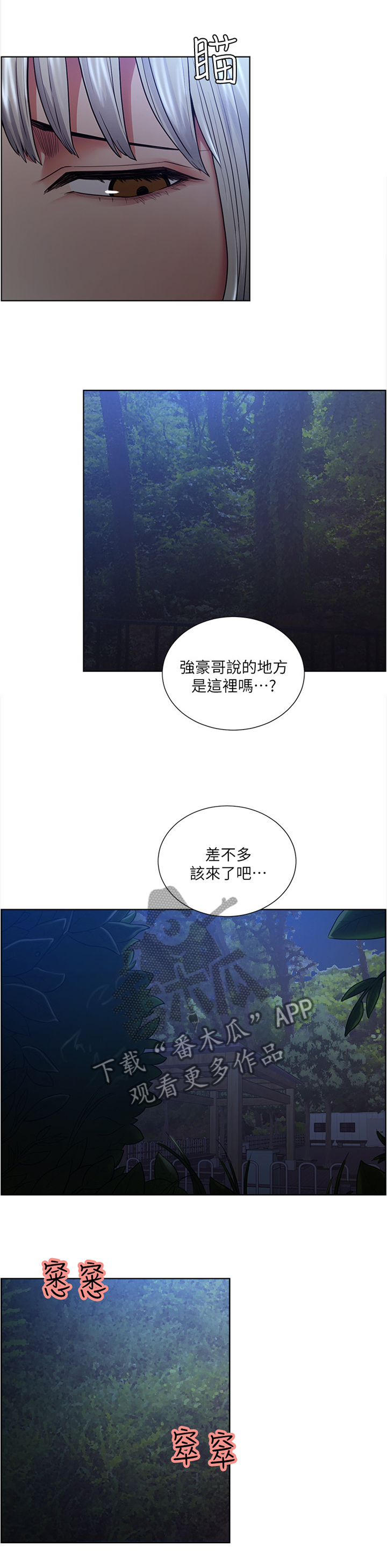 5.jpg