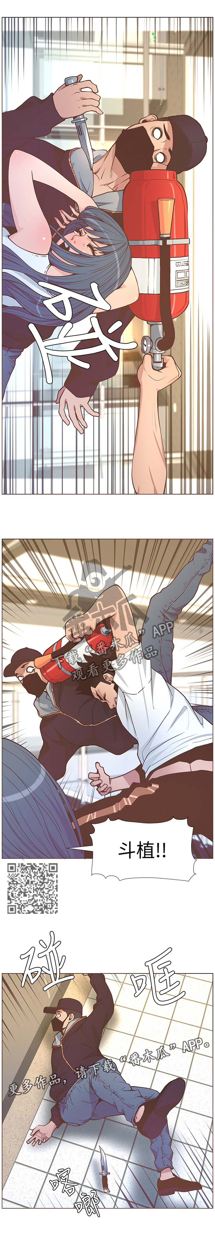 5.jpg