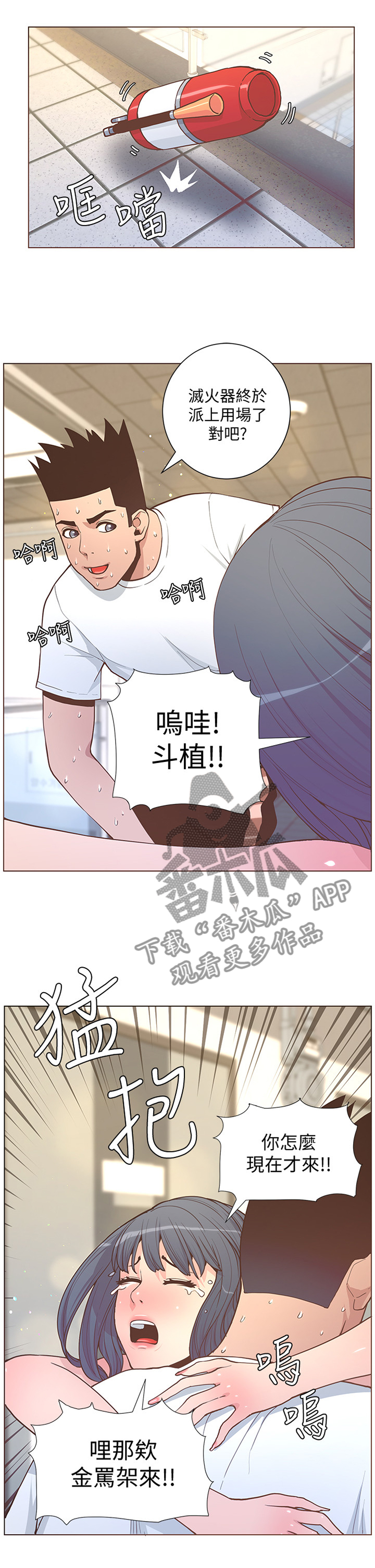 6.jpg