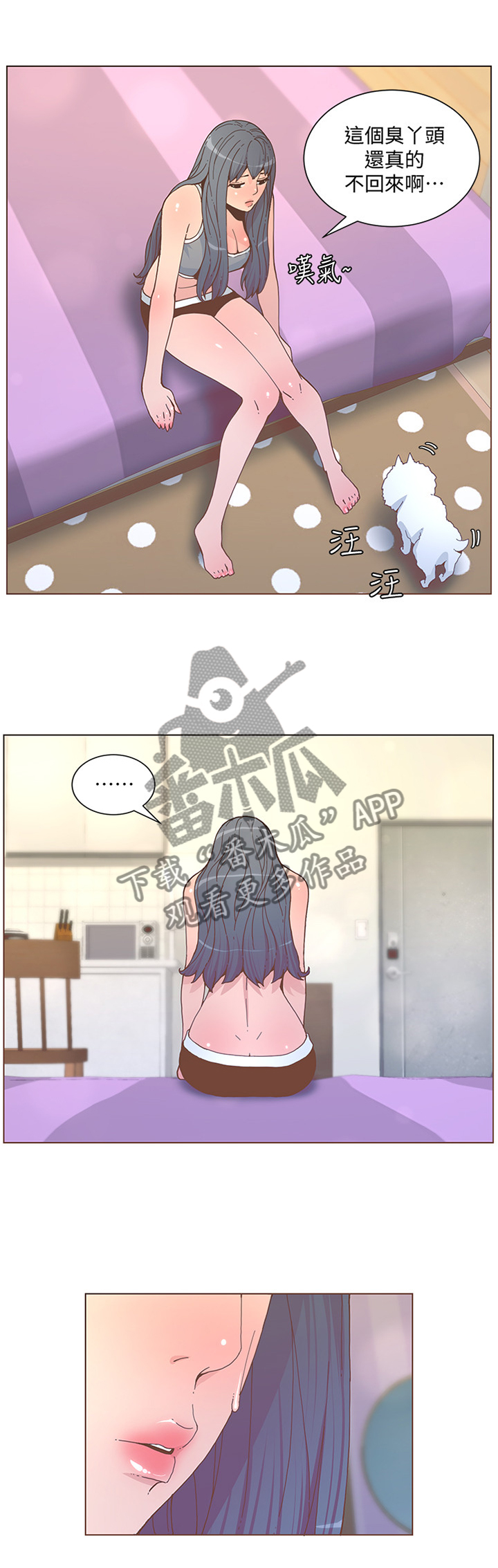 7.jpg