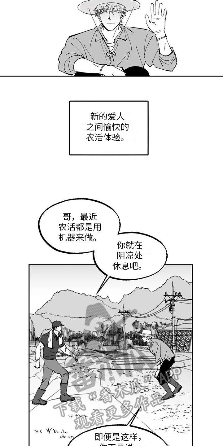 13.jpg
