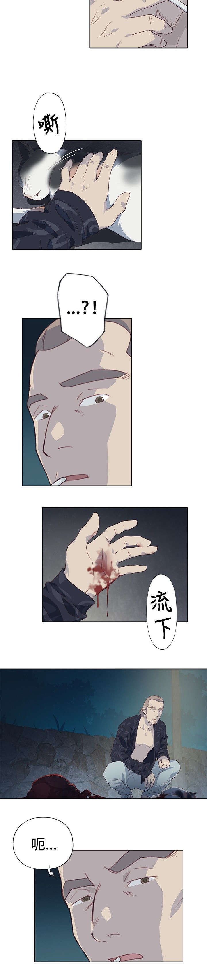 11.jpg