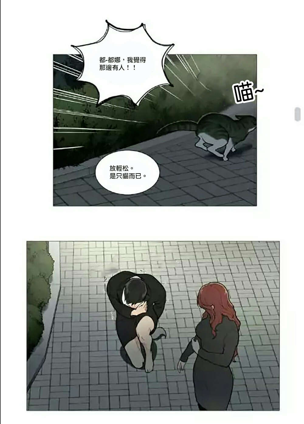 15.jpg