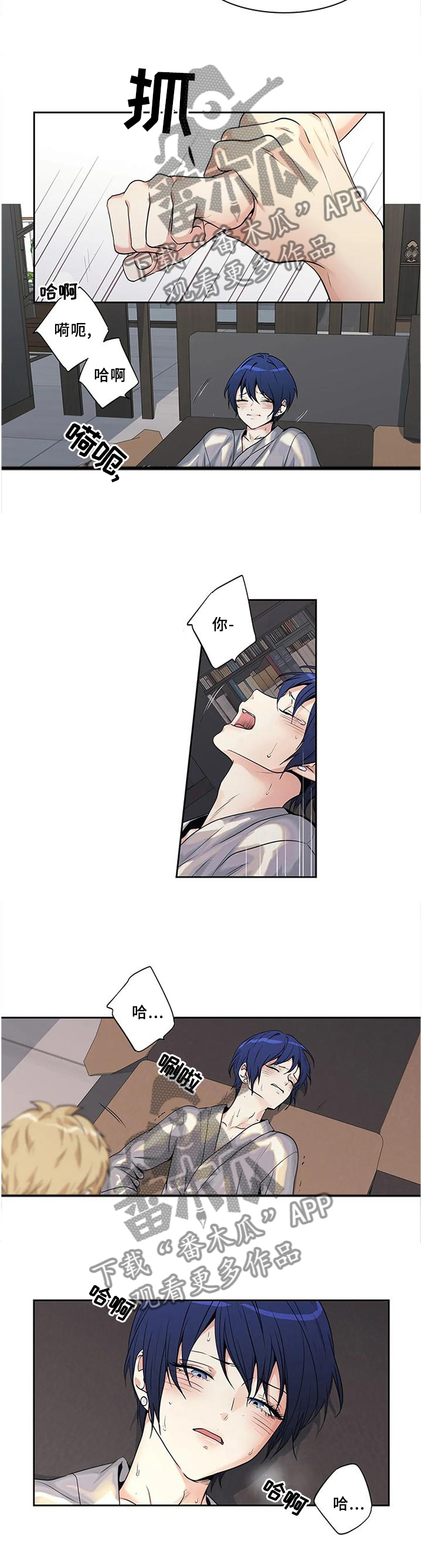 7.jpg