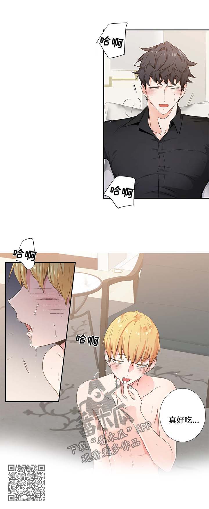 8.jpg