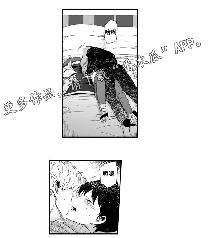12.jpg