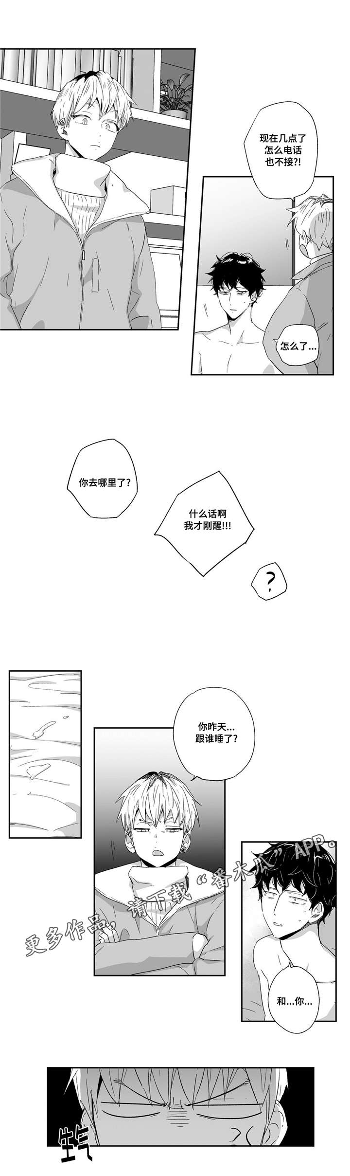 12.jpg